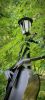 IMG_20260613_221930.thumb.jpg.07dfdcfd890db199e8c71f25b4102dd1.jpg