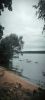 IMG_20260726_152635.thumb.jpg.0e0bdf3b345e72815bf5ae0327d1e94e.jpg