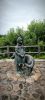 IMG_20260726_205805.thumb.jpg.7fbb0e30996a4d01527ae047c425a529.jpg
