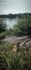 IMG_20260726_205901.thumb.jpg.93104216ae11ee3c65cebefdd4aad8d1.jpg