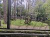 IMG_20260728_112645.thumb.jpg.0493681bb124453cd80d4c1f8c8c8837.jpg