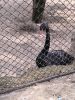IMG_20260728_114731.thumb.jpg.dae18b9e0bd10e86fbac60c307e7b693.jpg