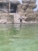 IMG_20260728_144310.thumb.jpg.51f13591f5ac4c0005bb9955ae48341a.jpg