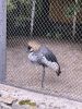 IMG_20260728_155958.thumb.jpg.3d987c00f5b017b23d19fc3aa395eadf.jpg