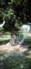 IMG_20260728_225049.thumb.jpg.6ef79cb352dbbc3837706a6011eaa173.jpg