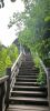 IMG_20260730_120516.thumb.jpg.9af919d395ee8260aac11c407e48661f.jpg