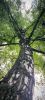IMG_20260731_204015.thumb.jpg.a1f659615c0702b392c52393b3356829.jpg