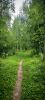 IMG_20260731_204049.thumb.jpg.753c12f1a0b9209fa41eaf75963a9071.jpg