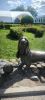 IMG_20260803_130653.thumb.jpg.e9b7520926665b33e1b5dd7030c05fcb.jpg