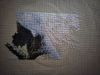 IMG_20260804_075626.thumb.jpg.b7fcd33a8bcb7bf42fe69668943a1acc.jpg
