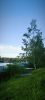 IMG_20260804_190928.thumb.jpg.7c8b061a715d083df324f578a2ee3b8f.jpg