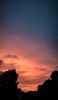 IMG_20260804_214629.thumb.jpg.ff7096bf5ad35188377f14ce36fb5534.jpg