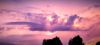 IMG_20260804_214657.thumb.jpg.e23cb1add1314d3e51b5beebe9d8584f.jpg