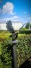 IMG_20260804_215218.thumb.jpg.2af5ea518a3e9e35fd4c512b32fa6b15.jpg