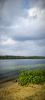 IMG_20260807_220341.thumb.jpg.cf307d92ceef412cf6c940899a4fad82.jpg