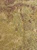 IMG_20260815_195837_576.jpg