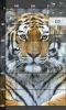 IMG_20260825_191032.thumb.jpg.055d0ce358dcc6c3137210087b1caea0.jpg