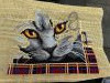 IMG_3847.jpeg