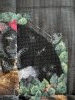 IMG_4546.thumb.jpeg.361c56cddcb91eacfa82e2aafd36a04b.jpeg?1785542889653