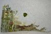 IMG_5634.jpeg.e65c3bf7c5c83abc3b326558173923ff.jpeg