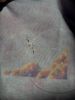 IMG_5658.jpeg