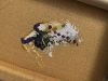 IMG_5956.jpeg