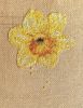 IMG_6491.jpeg