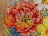 IMG_6560.jpeg