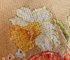 IMG_6561.jpeg