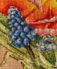 IMG_6563.jpeg