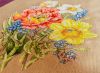 IMG_6564.jpeg