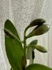 IMG_8833.jpeg