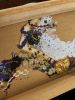 IMG_9553.jpeg
