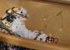 IMG_9824.jpeg