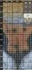 Screenshot_2026-08-25-19-22-29-930_com.maxxt.crossstitch-edit.thumb.jpg.854eeb63a46df54146db2fcd20f92691.jpg