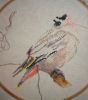Waxwing2.jpg.18023224eccfad63a031f2be5b8526f6.jpg