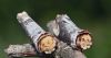 g6qbc56v_s.thumb.jpg.a1a5bd9bf7097da302758f4751862ef4.jpg