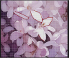 image.thumb.png.1d7c2370b95349c9b931260d4196dd73.png