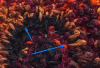 image.thumb.png.2b5738f542f1d09a7302b4dc0de4be9a.png