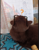 image.thumb.png.3a447a943ab9821da0ff7104533389d3.png