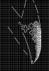 image.thumb.png.6d3376bf6c0ebacbd99424892b4569ae.png