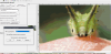 image.thumb.png.b37ee4d588aa7834917f004ebd2d9e5a.png