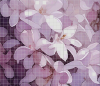 image.thumb.png.c72675f28c64806081784aae153eda05.png