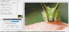 image.thumb.png.fc4c763a93cac9514f6fbd9f9a0c0a99.png