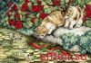 Dimensions 65071, Отражение котят (Kitten Reflections)