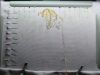 IMG20260113225103.thumb.jpg.b093839aded7aecce93db1552b7acdd7.jpg