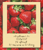 IMG_1765.png.c7dd29ba47c3a40ad3ab20c8e468e9d8.png