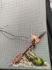 IMG_20260705_183918.thumb.jpg.73051b95973b381e8ba46ecebcb61541.jpg