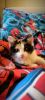 IMG_20260821_092609.thumb.jpg.93f4b45ac8a6461b5de63d031cc2c019.jpg