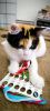 IMG_20260902_233455.thumb.jpg.9dbf170b6340b8cd76816251d6dfb947.jpg